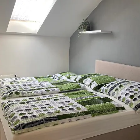 公寓 Apartman Ceske Budejovice *